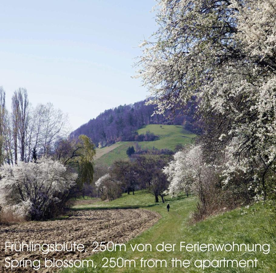 Passivhaus 750m Vom Bodensee -- 2x E-bike Inklusive -- Neubau 2019 Am Ortsrand Appartement